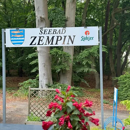 Appartement Ferienwohnung Moewe Mit Balkon Und Einem Strandkorb Im Sommer